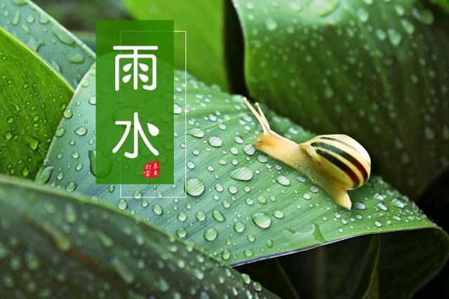 【明心文学】水川/春天颂歌组诗(二)七律四首 主播/张兆维(图4)