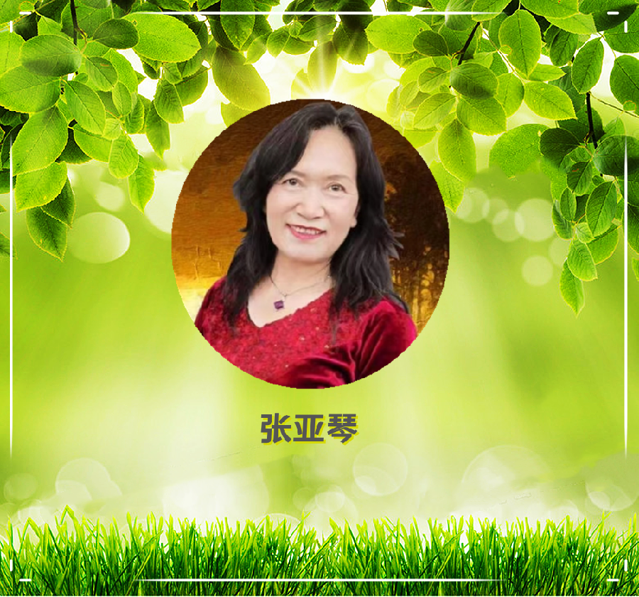 法大书店*北京雅韵风铃朗诵艺术团线上诗歌朗诵会（图27）