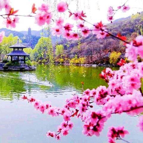 王建华/走进春天