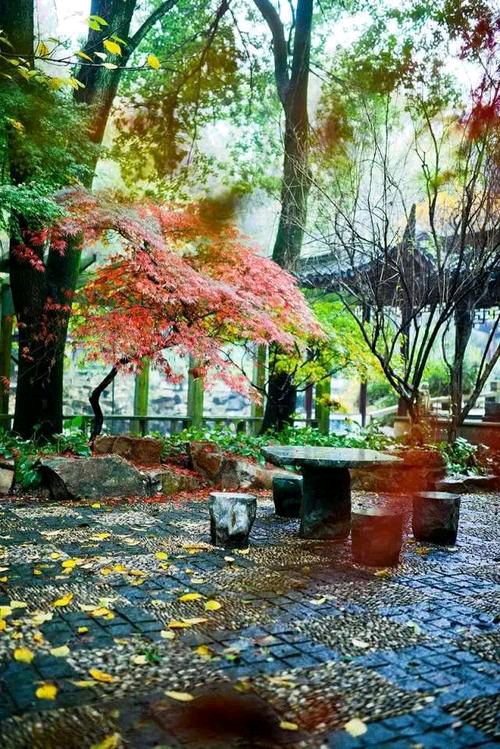 【新山东文学社】《轩窗外那一抹春光》作者/张秀祥 主播/苏宁（图6）