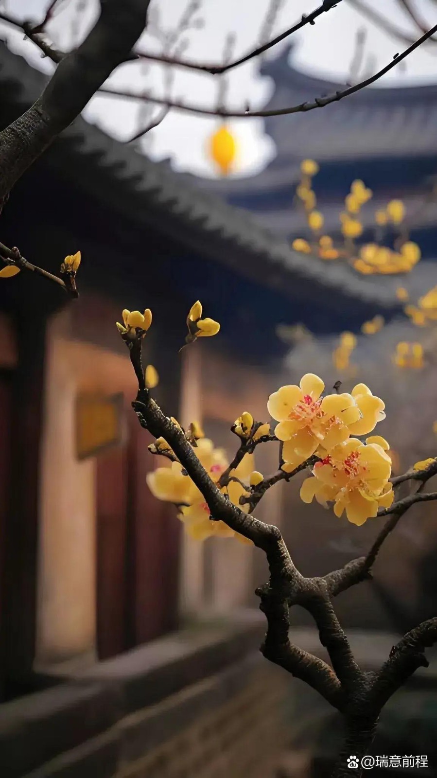 王家明朗诵【味道里的乡愁】作者/刘伙力（图10）