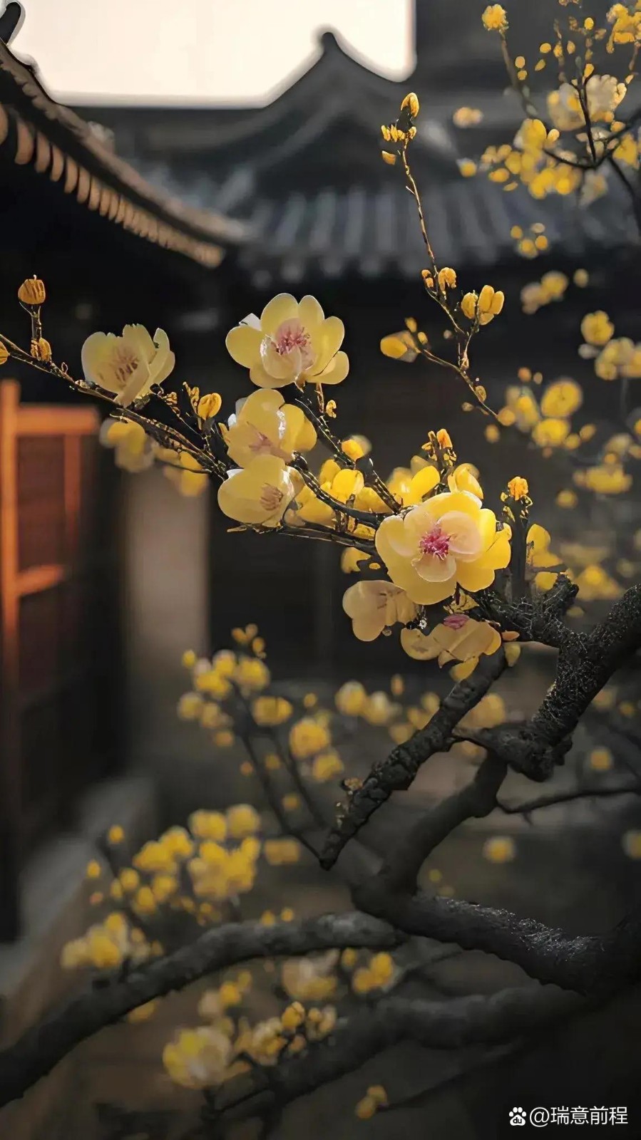 王家明朗诵【味道里的乡愁】作者/刘伙力（图4）