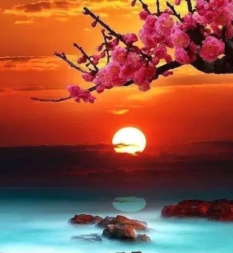 祥云诗歌《运河的春天》主播：小菜一碟；编辑：小鱼儿 【运河之春】（第008期）（图6）