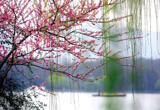 《这一年》作者/庆福 主播/阿伞 编辑/胡琴(图2)