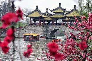 《这一年》作者/庆福 主播/阿伞 编辑/胡琴（图5）