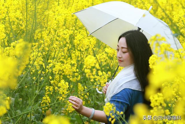 水调歌头•走进春天（组诗）张杰（黑龙江）（图4）