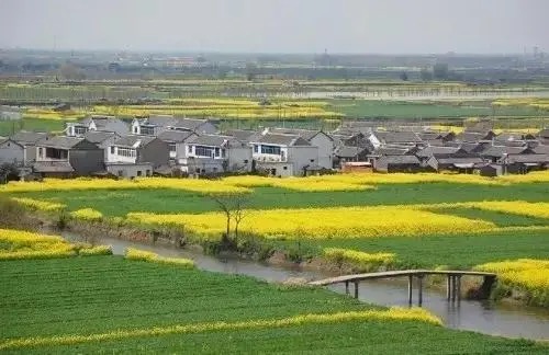 【新诗大观】三月，故乡的村落（诗三首）||文/张成良