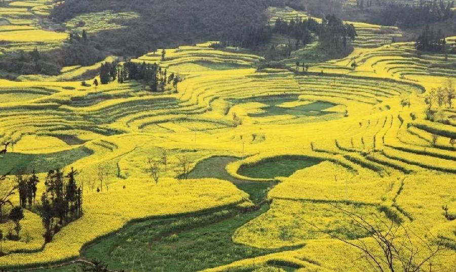 《北美翰苑散文诗社》朱志岩-诗选(图12)