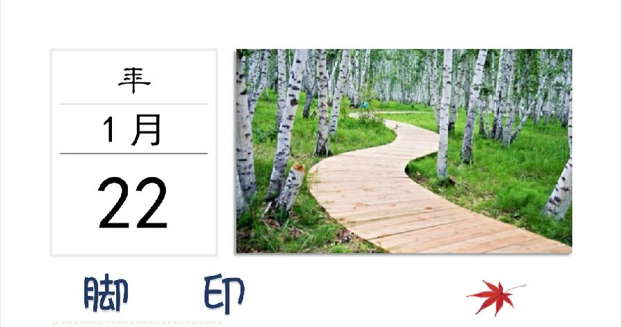 季风诗历【日子是诗】选读:池中趣朗诵专辑|海外头条(图7)