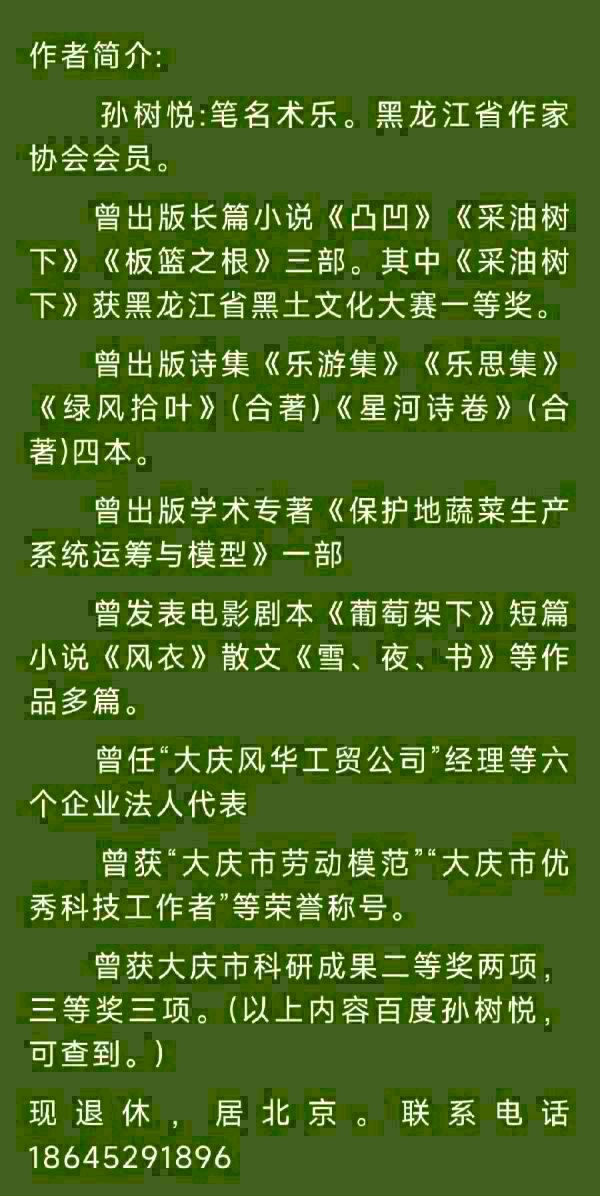 中华诗艺黑龙江分社●诗词微刊(六)(图33)