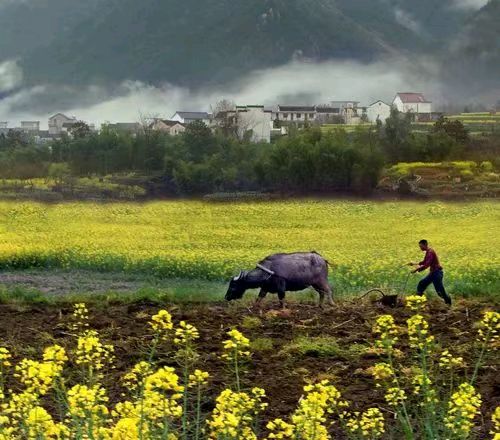 中华诗艺黑龙江分社●诗词微刊(六)(图13)