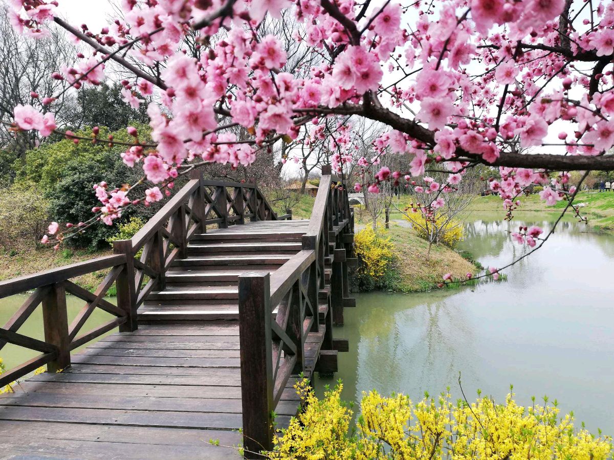 王新华诗词小辑【冰心文化传媒】（图3）