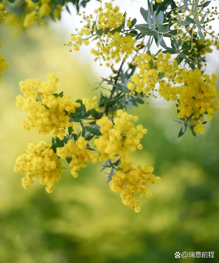 九班长朗诵【长河】作者/雷金钟（图6）
