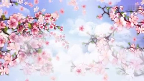 星火诗社350期微刊《人面桃花相映红》(图14)