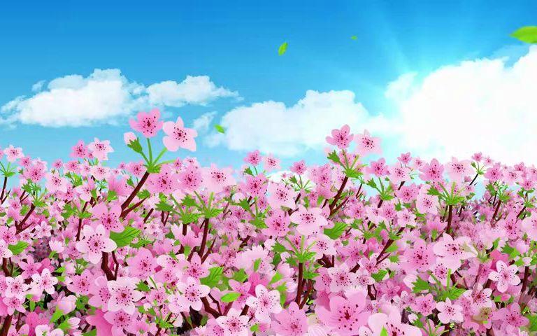 星火诗社350期微刊《人面桃花相映红》(图21)