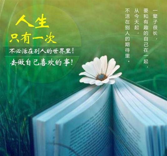 凤凰之歌朗诵【书香中国】作者/刘伙力