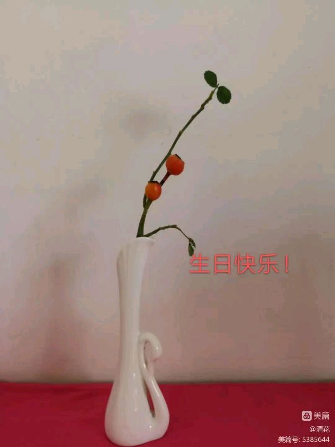 徐克英诗画小辑【冰心文化传媒】主编 冰心（图4）