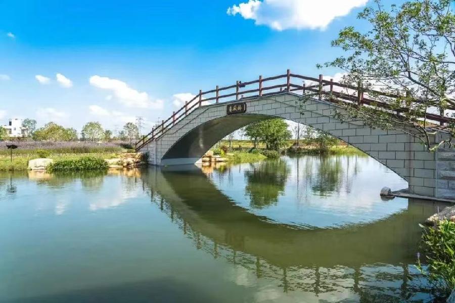 国风上海社千首诗词汇春潮第二十三期—北京头条（图14）
