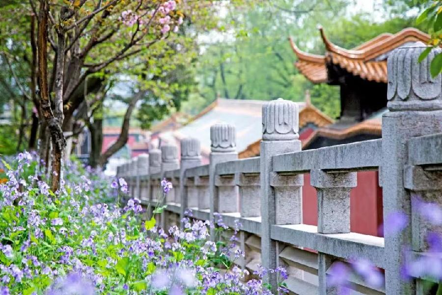 国风上海社千首诗词汇春潮第二十三期—北京头条（图16）