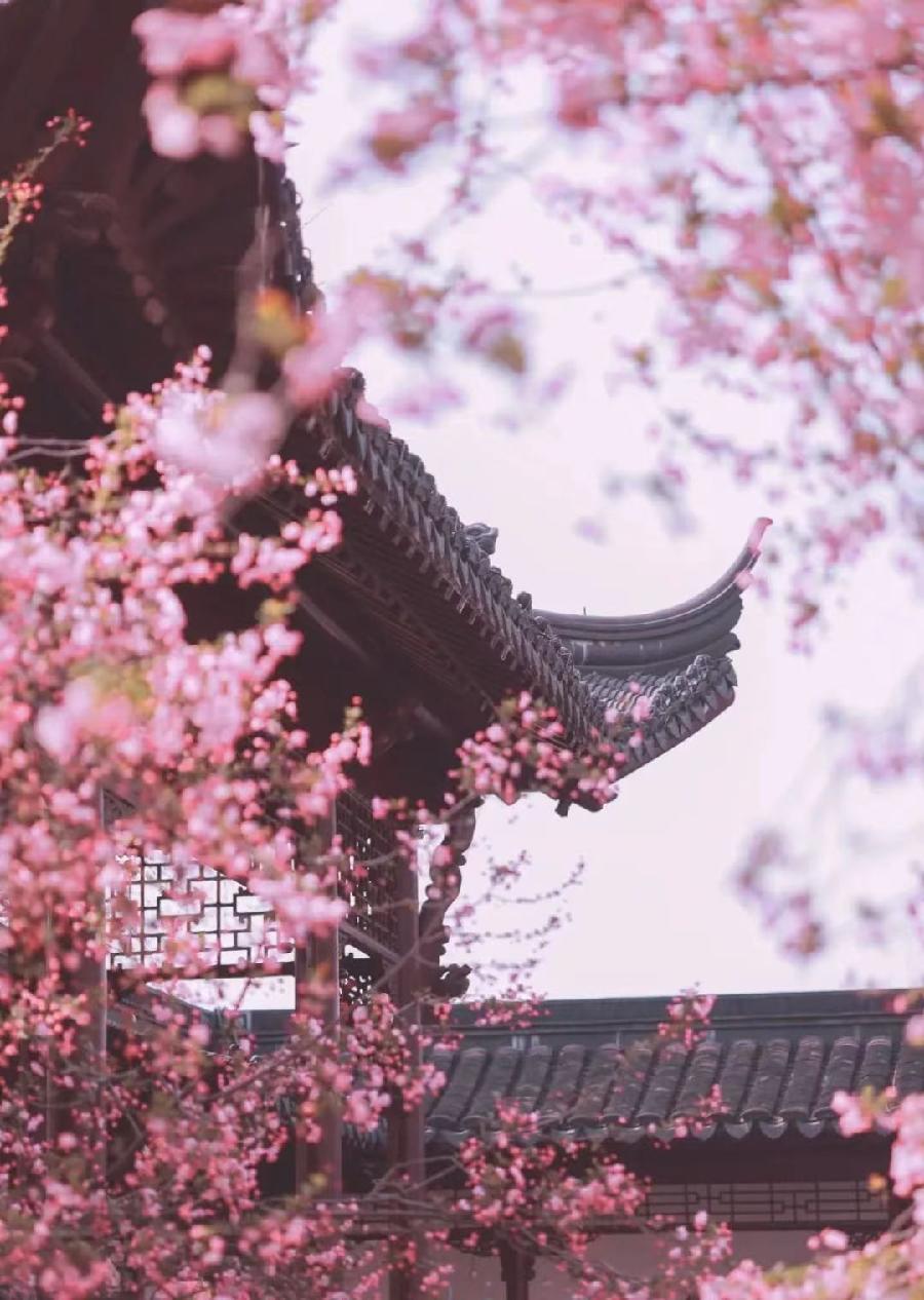 国风上海社千首诗词汇春潮第二十三期—北京头条（图17）