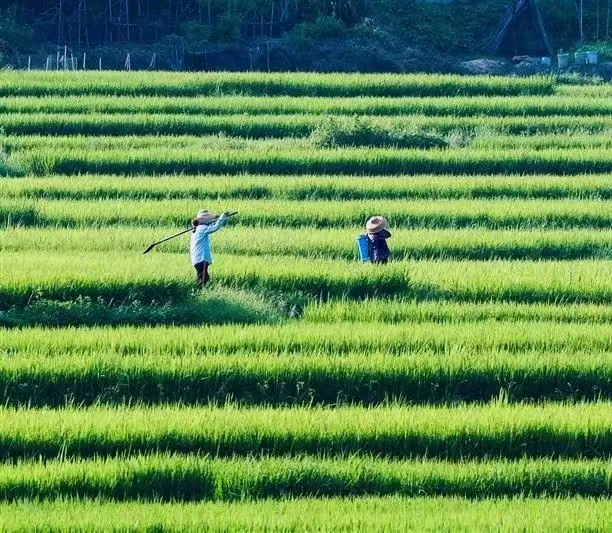 国风上海社千首诗词汇春潮第二十三期—北京头条（图109）