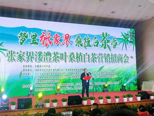 娄澧茶叶桑植白茶营销招商会在贺龙元帅故里召开