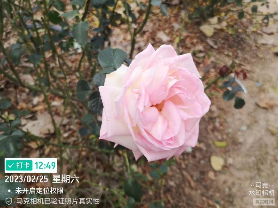 三元诗~从化温泉游(外三首)文/詹克诚(图6)