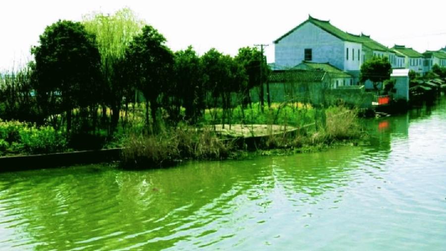 《九江文学社:北京头条》《名家专刊》杨成贵老首长近期美篇集粹欣赏(图12)