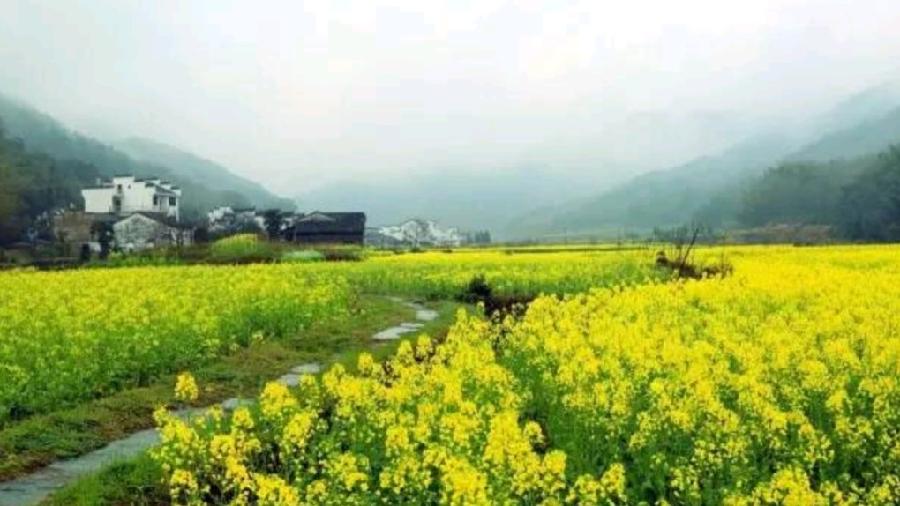 《九江文学社:北京头条》《名家专刊》杨成贵老首长近期美篇集粹欣赏(图16)