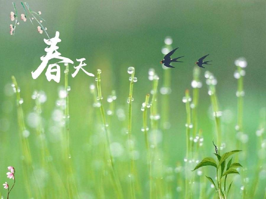 路广秀朗诵【春讯】作者/雷金钟
