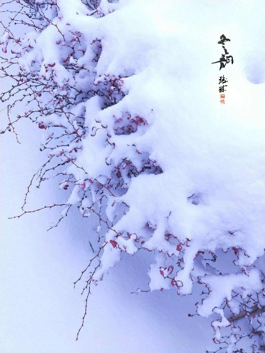福生朗诵【回望冬雪】作者/竹园清风