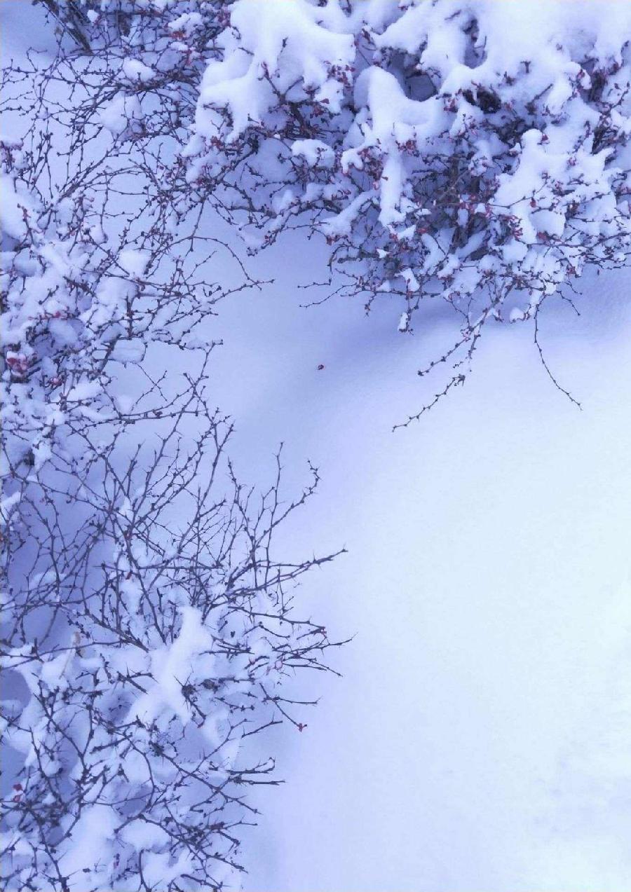 福生朗诵【回望冬雪】作者/竹园清风（图6）