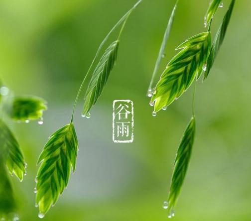 陈宴（湖北）诗词小辑【冰心文化传媒】总编:冰心（图9）