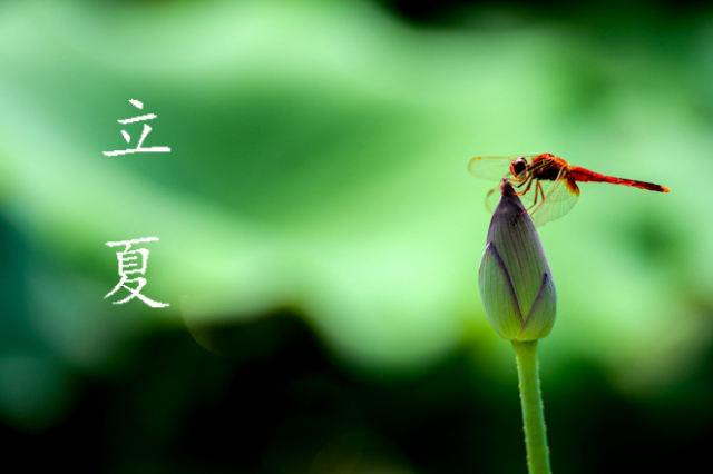陈宴（湖北）诗词小辑【冰心文化传媒】总编:冰心（图10）
