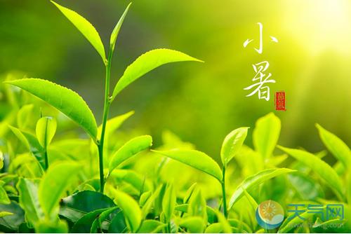 陈宴（湖北）诗词小辑【冰心文化传媒】总编:冰心（图14）