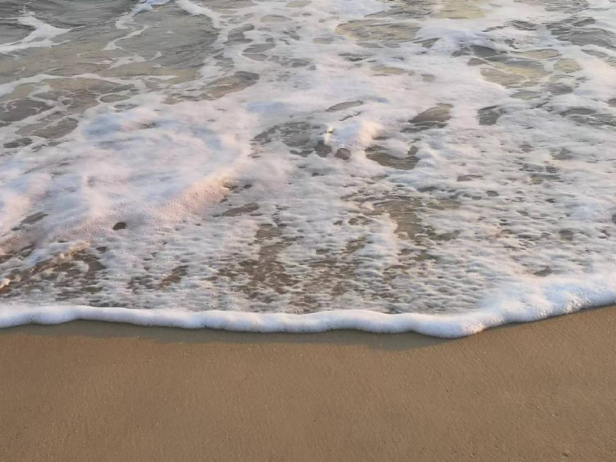 【回潮拍岸】文／磊怀（图6）