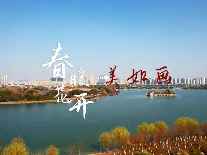 【经典推荐】鲁坡//迎春花开美如诗（图2）