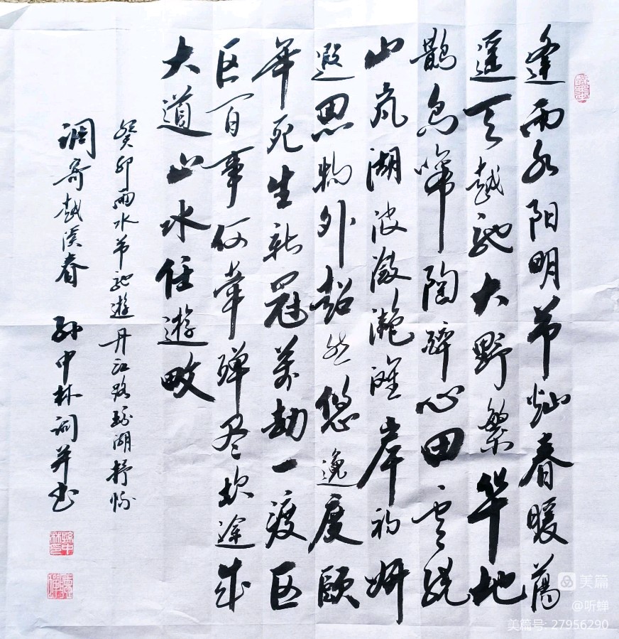 华夏流水诗社Ⅱ听蝉老师诗词专辑(二)(图10)