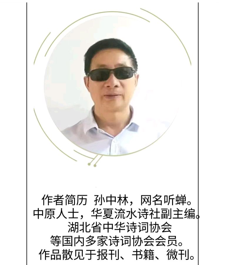 华夏流水诗社Ⅱ听蝉老师诗词专辑(二)