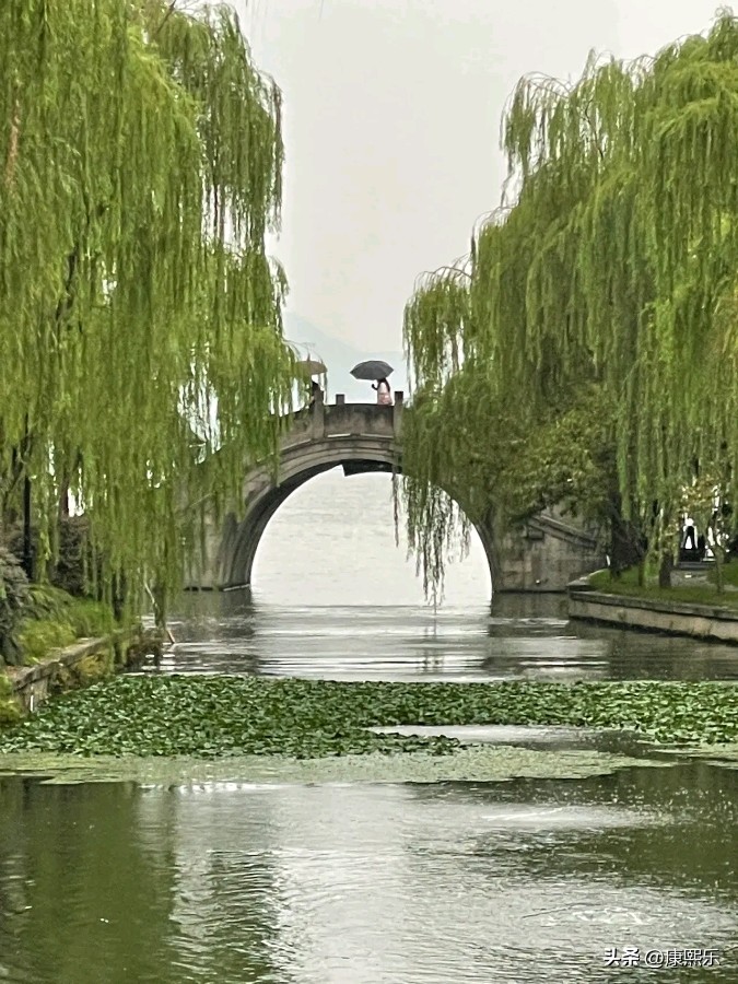 风雅诗社·第四十期·格律诗篇（图4）