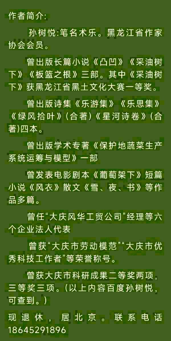 中华诗艺黑龙江分社●诗词微刊(十)(图31)
