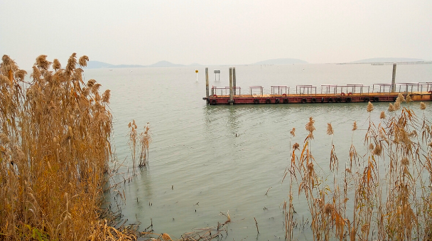 孙文：东北风之四十三《少陵山水寄乡情》‖巴彦诗词楹联协会【408】（图8）