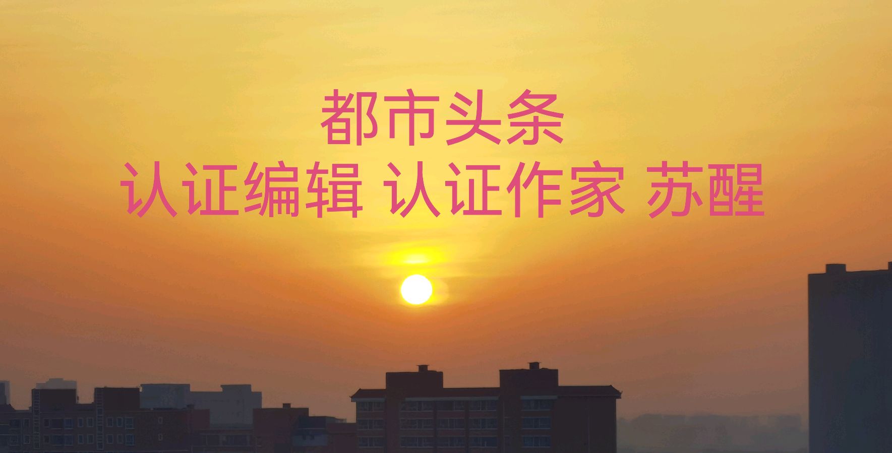 秦岭龙脉·罗君（图2）