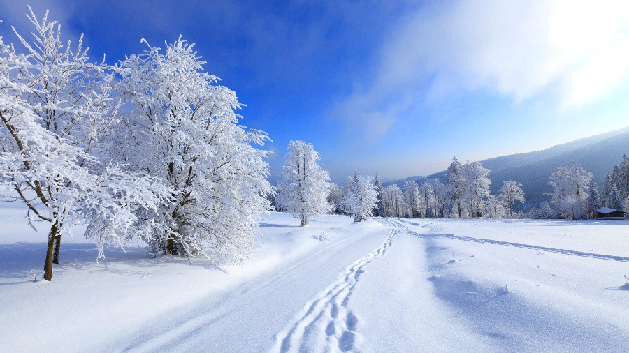 培芬朗诵【回望冬雪】作者/竹园清风（图4）
