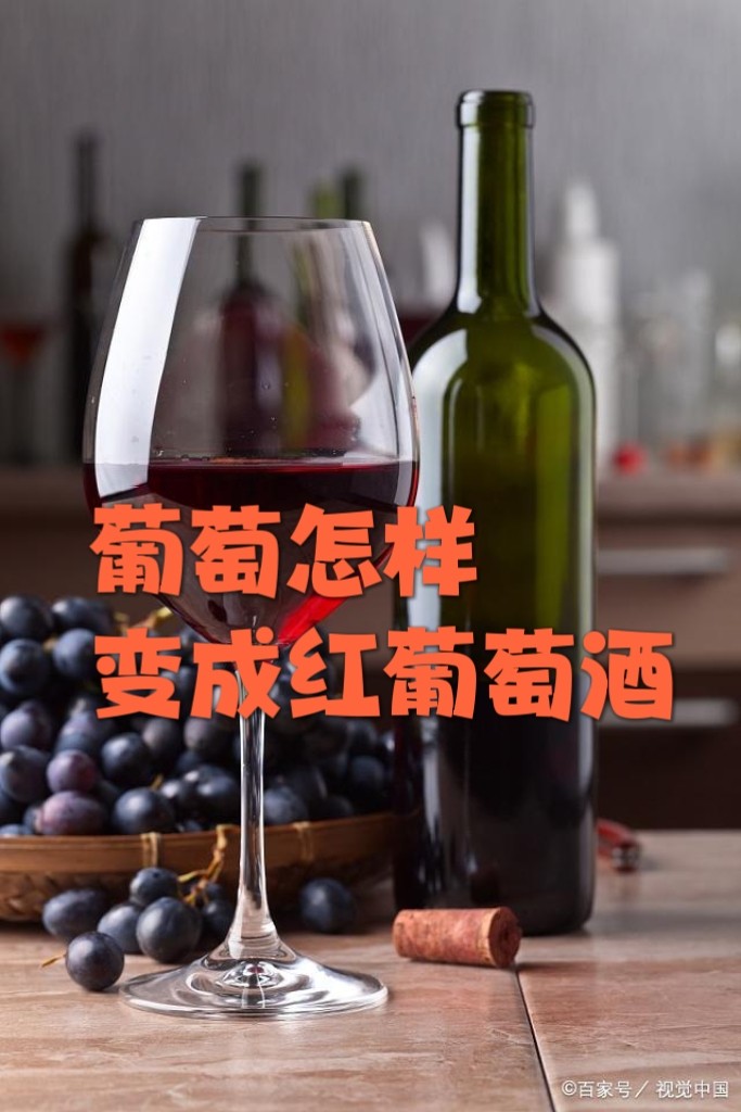 聆听 ‖ 肖柳师蒙小朋友为大家朗诵十万个为什么？（图3）