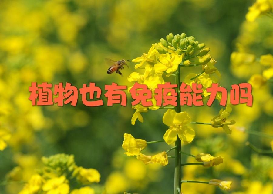 聆听 ‖ 肖柳师蒙小朋友为大家朗诵十万个为什么？（图5）