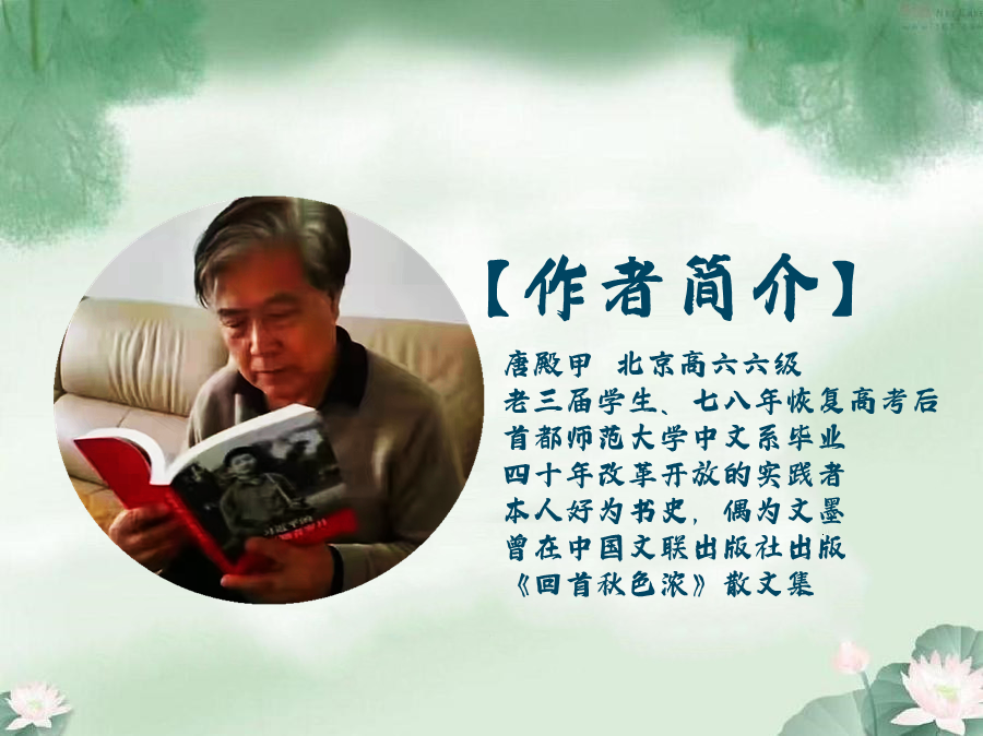 旭洋朗诵【雷锋之歌唱响新时代】作者/唐殿甲（图2）