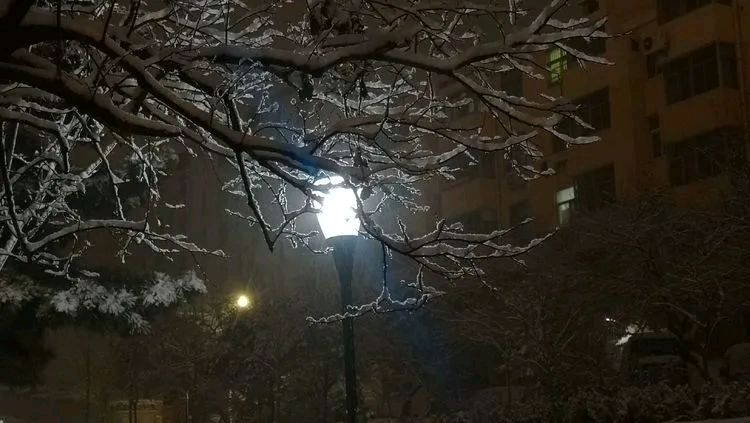 精品诵读|飘雪的夜|作者:白狐(河南)|主播:吾安汝止(大连)
