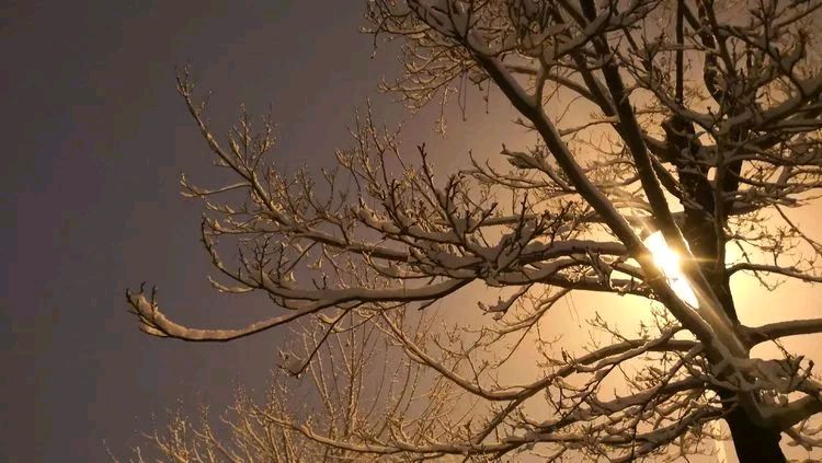 精品诵读|飘雪的夜|作者:白狐(河南)|主播:吾安汝止(大连)(图2)