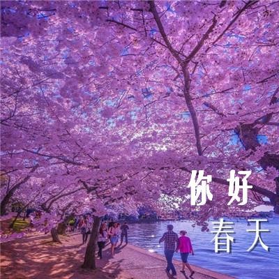 【经典推荐】田亮只老师//三月风在吹｛欣赏｝（图5）